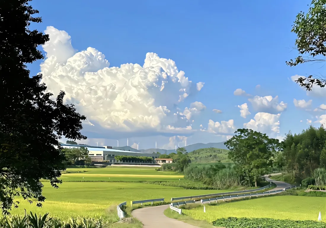 2k自然风景壁纸｜蓝天草地背景 - 白云田野小路「哲风壁纸」