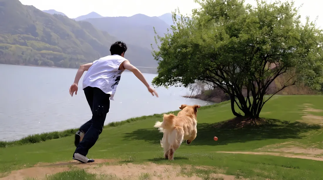 3k王鹤棣壁纸｜草地湖泊背景 - 金毛犬互动「哲风壁纸」