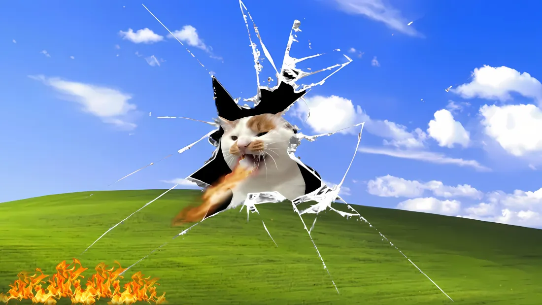 2k小猫破窗壁纸｜草地蓝天 - 火焰Windows「哲风壁纸」