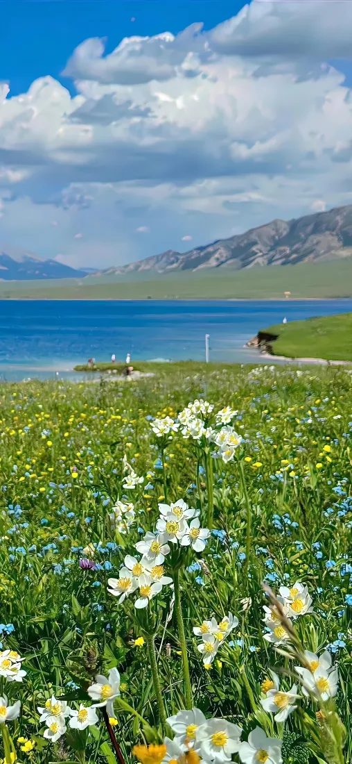 自然风景手机壁纸｜草地湖水背景图片 - 野花山脉蓝天「哲风壁纸」