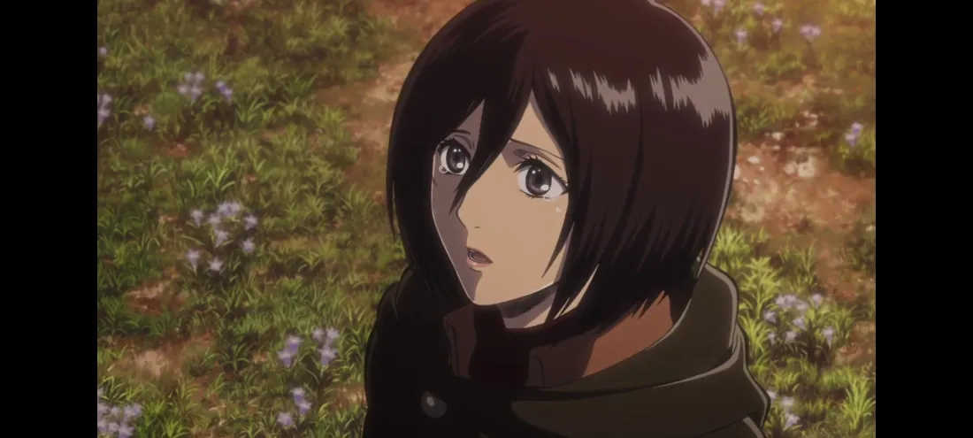 2k三笠壁纸｜进击的巨人背景图 - 草地「哲风壁纸」