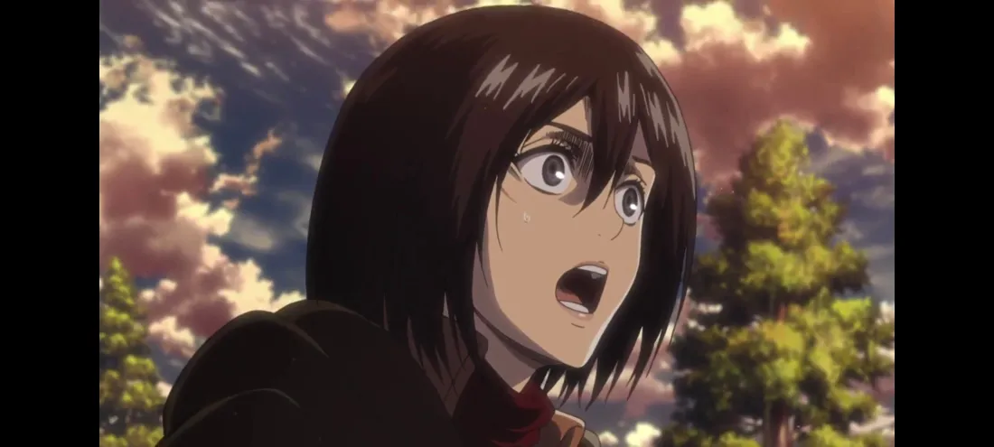 2k三笠壁纸｜进击的巨人背景 - 动漫角色「哲风壁纸」