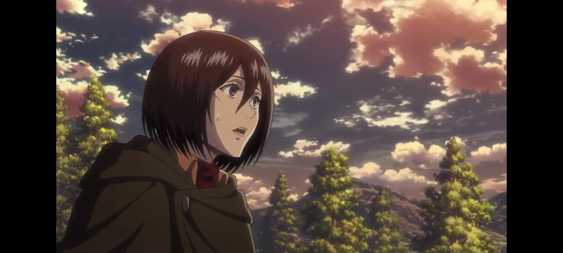 2k三笠壁纸｜进击的巨人 - 森林天空「哲风壁纸」