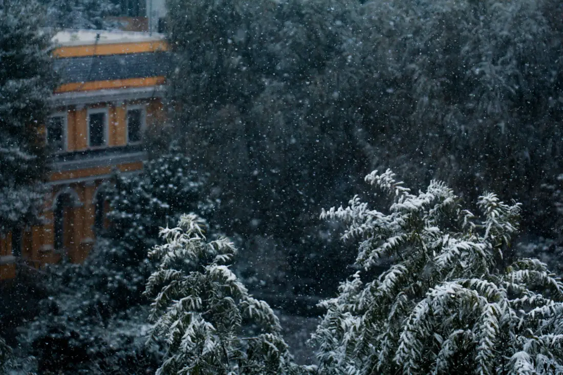 5k雪景壁纸｜雪天背景 - 树林建筑积雪「哲风壁纸」