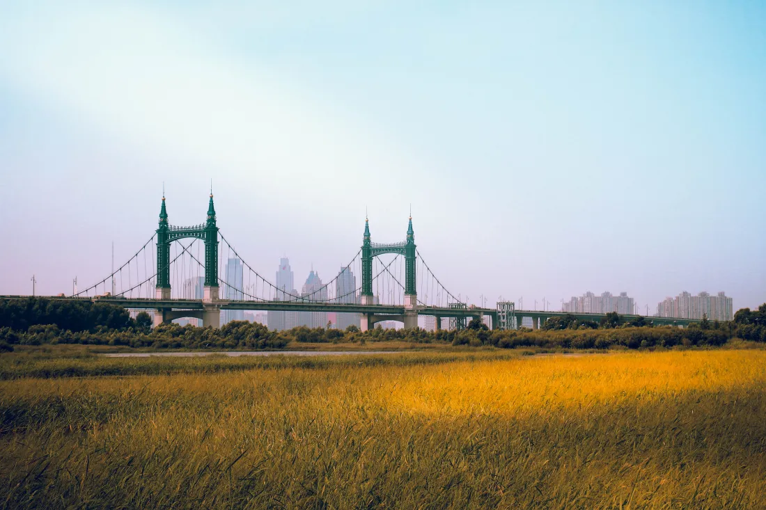 5k桥壁纸｜城市草地背景 - 黄绿色「哲风壁纸」