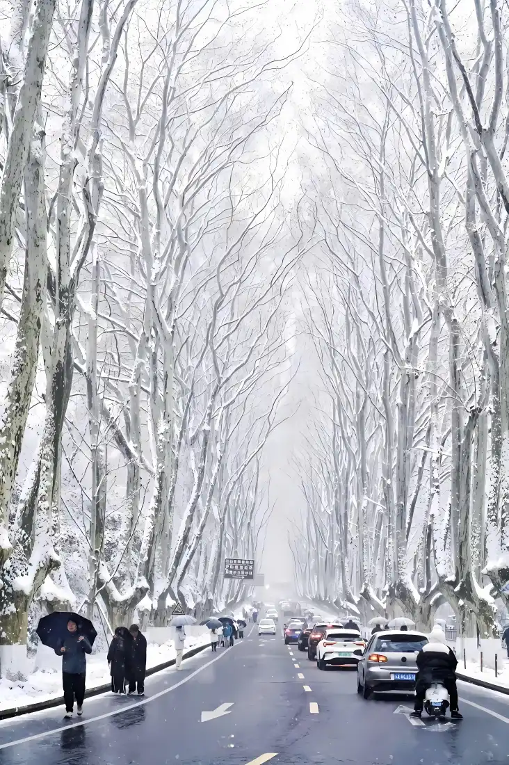 冬季梧桐大道雪景手机壁纸｜雪后道路背景 - 行人车辆「哲风壁纸」