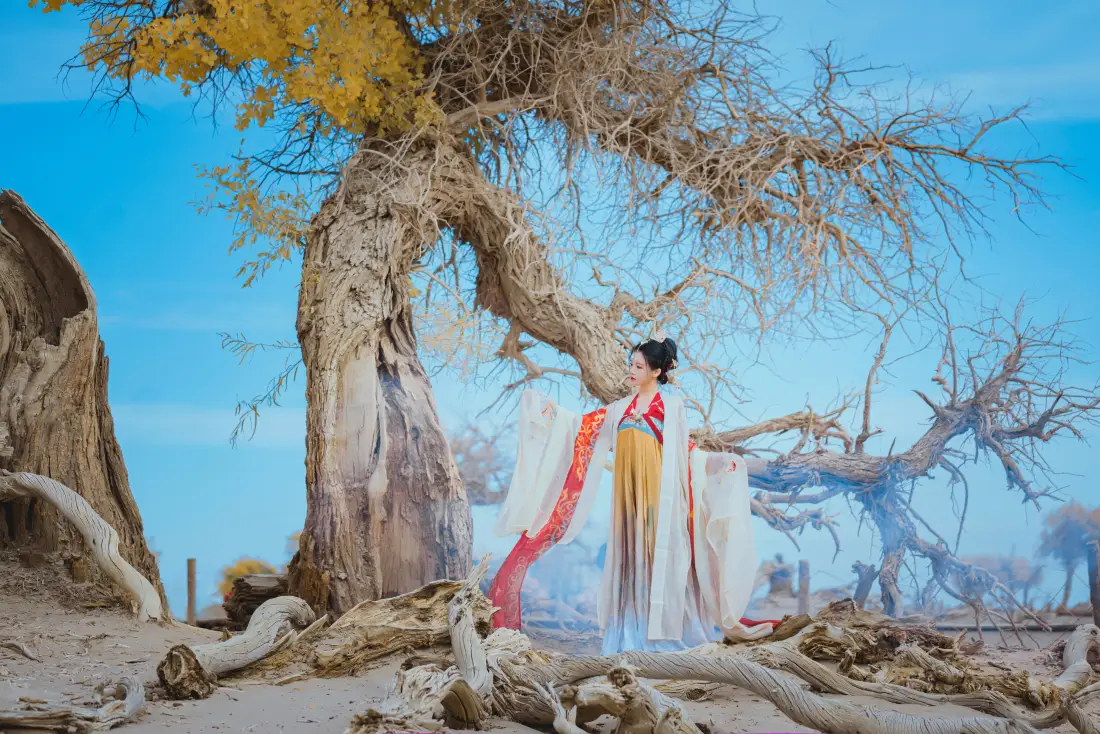 5k国风美女壁纸｜沙漠枯树 - 古风服饰「哲风壁纸」