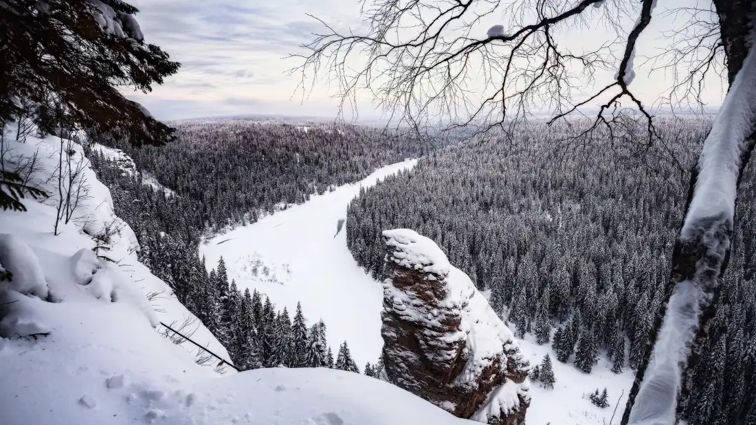 3k雪景壁纸｜森林河流背景图片 - 冬季雪原「哲风壁纸」