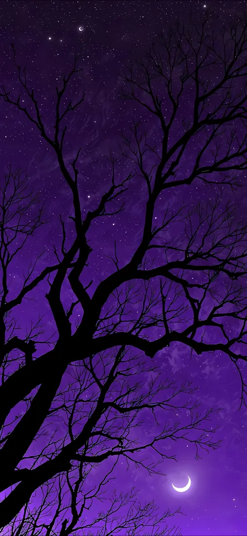 星空月亮树干手机壁纸｜紫色夜空背景 - 弯月繁星「哲风壁纸」