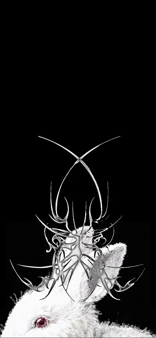 黑白兔子手机壁纸｜艺术兔子背景图片 - 荆棘装饰「哲风壁纸」