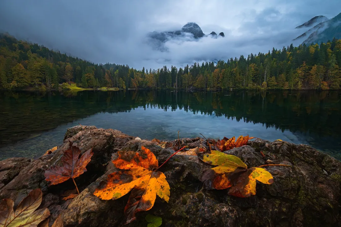 2k枫叶湖水树林壁纸｜秋景山水背景 - 云雾山脉「哲风壁纸」