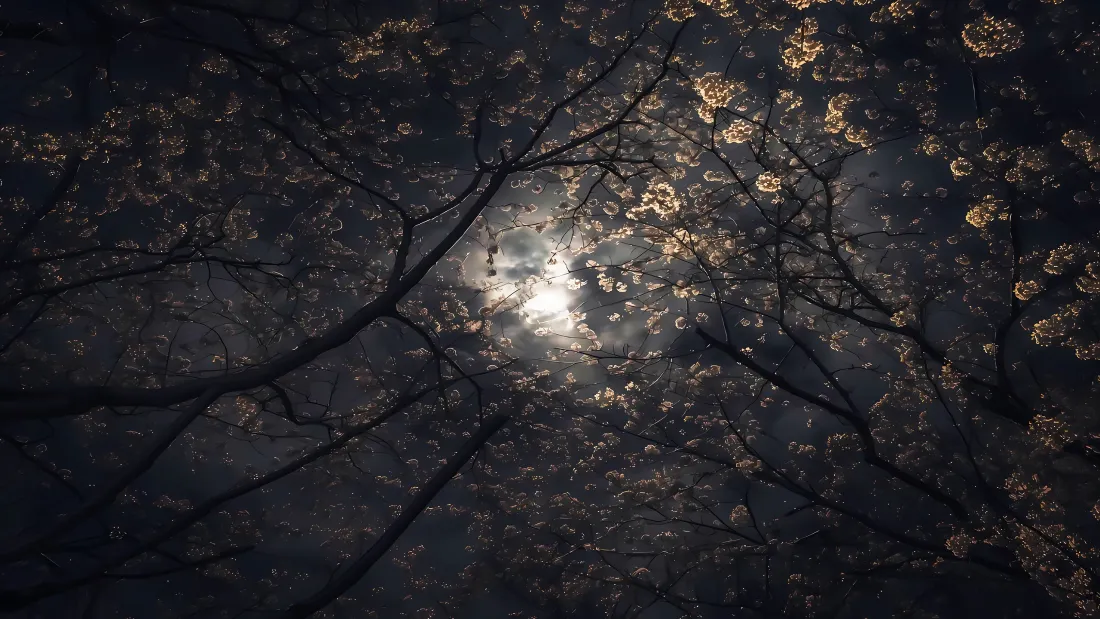 3k花树壁纸｜月光背景图片 - 夜晚自然风景「哲风壁纸」