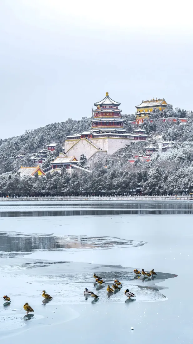 颐和园雪景手机壁纸｜北京背景图片 - 冬季园林湖泊「哲风壁纸」