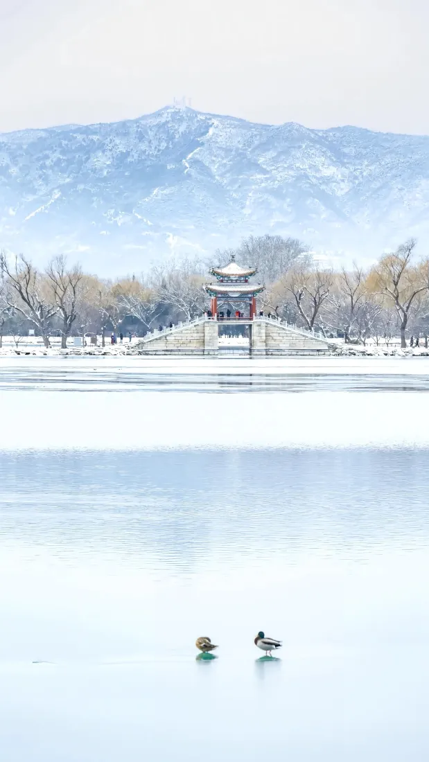 颐和园雪景手机壁纸｜北京颐和园背景图片 - 冰湖鸭子「哲风壁纸」
