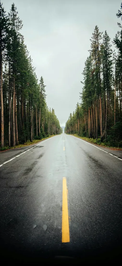 公路森林手机壁纸｜自然风景背景图片 - 雨天道路「哲风壁纸」