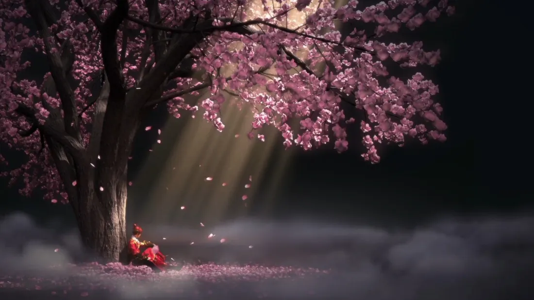 2k樱花树夜景壁纸｜粉色樱花背景 - 红衣人物「哲风壁纸」