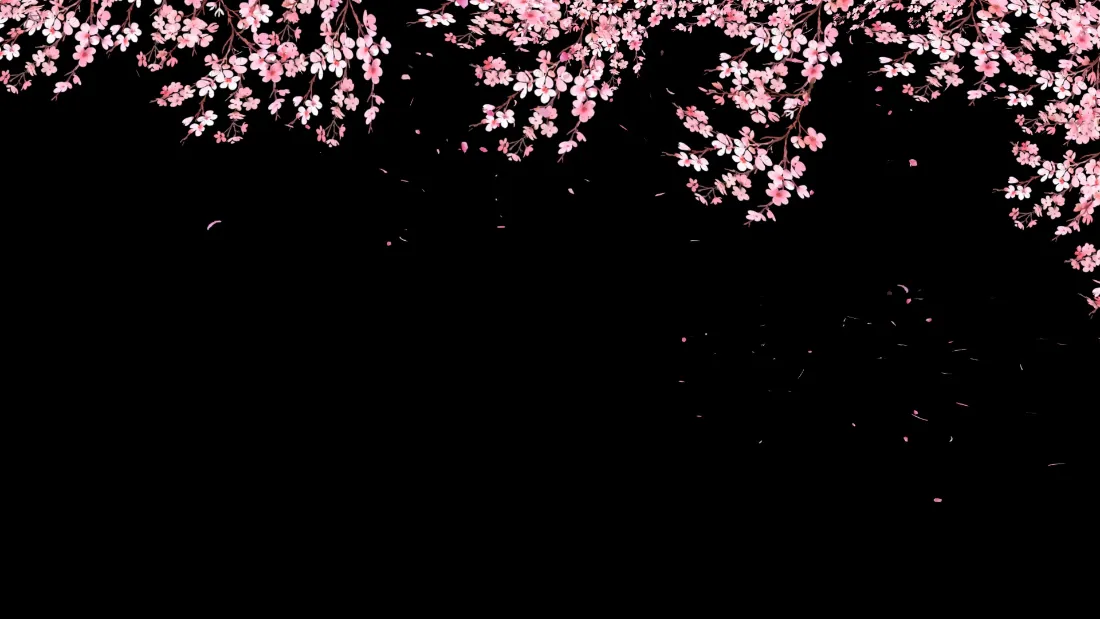 2k粉色花瓣壁纸｜黑色背景图片 - 飘落樱花花瓣「哲风壁纸」