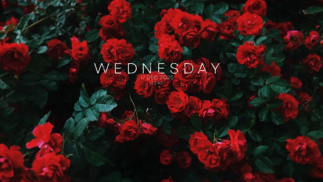 2k红玫瑰壁纸｜红玫瑰背景图片 - 自然风景「哲风壁纸」