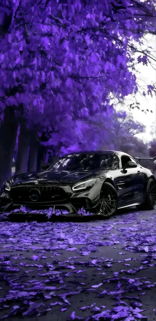 梅赛德斯AMG跑车手机壁纸｜紫色树木落叶背景 - 黑色跑车「哲风壁纸」