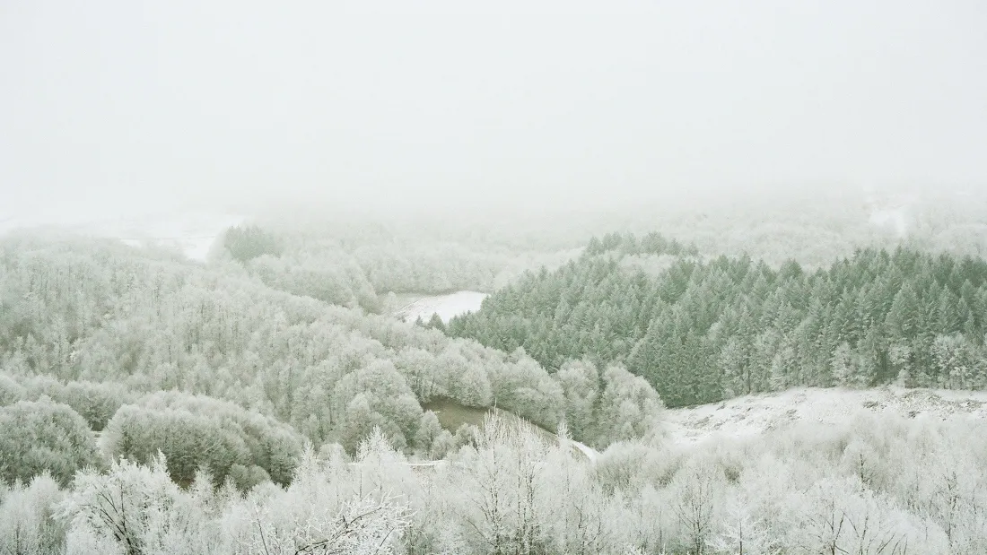 3k雪景壁纸｜自然风景背景图片 - 冬季山林「哲风壁纸」