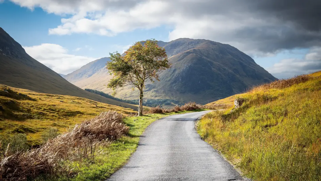 4k自然风景壁纸｜公路背景图片 - 山脉草地树「哲风壁纸」