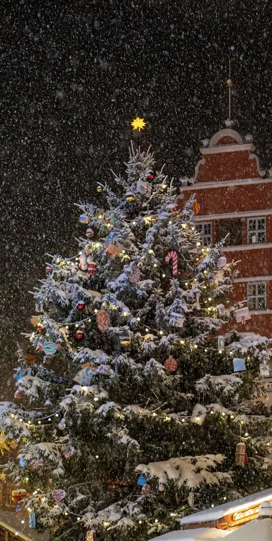 圣诞夜景手机壁纸｜雪景背景图片 - 下雪圣诞树「哲风壁纸」