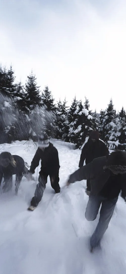雪地松树奔跑者手机壁纸｜雪地背景图片 - 冬季户外「哲风壁纸」