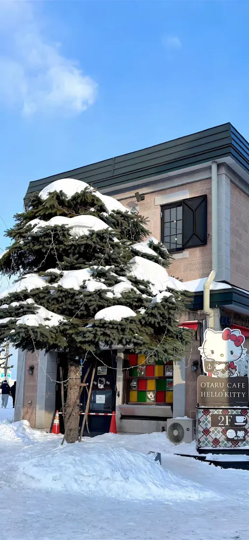 雪景房屋手机壁纸｜雪景背景图片 - 冬日松树积雪「哲风壁纸」