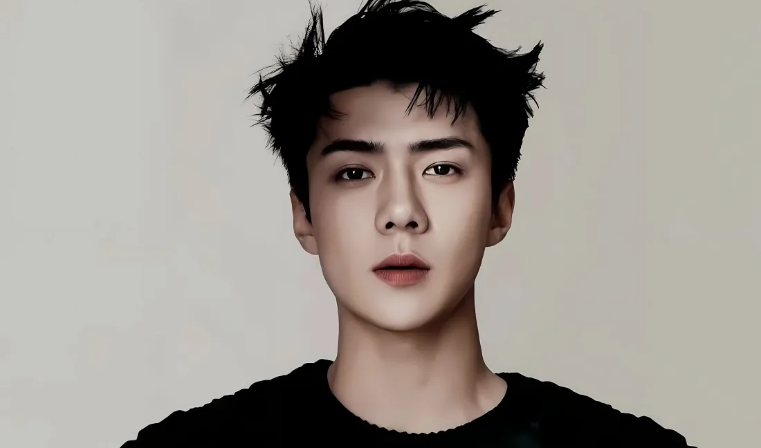 4k吴世勋壁纸｜简约背景图 - 黑色上衣帅气「哲风壁纸」