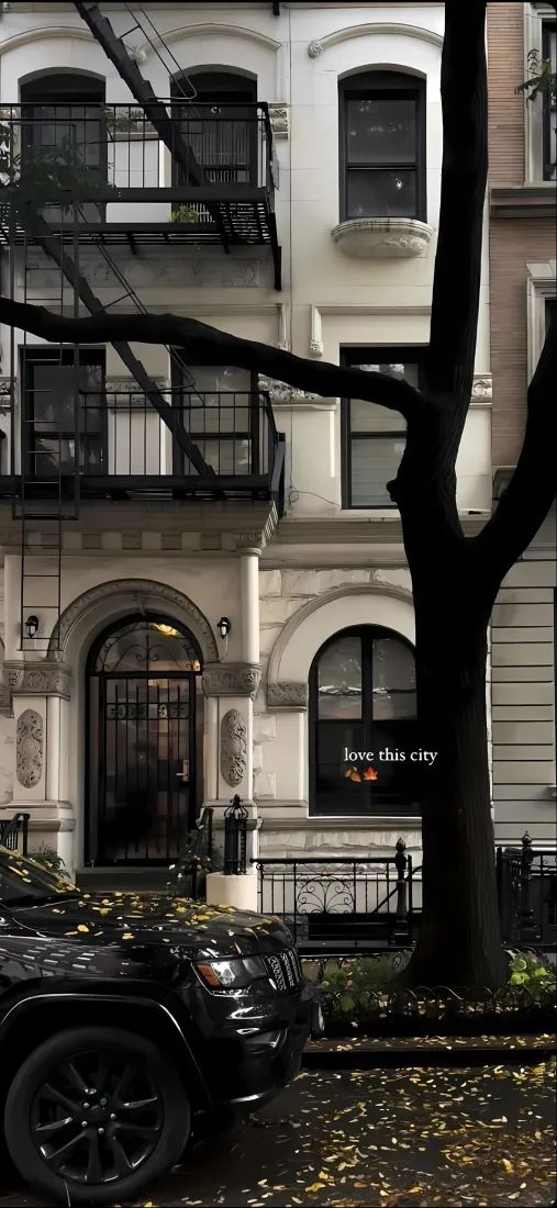 欧式建筑手机壁纸｜城市街景背景图片 - 落叶树枝房屋「哲风壁纸」