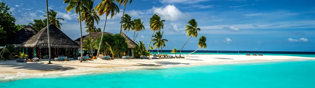 9k海边壁纸｜自然风景背景图 - 椰子树沙滩碧海「哲风壁纸」