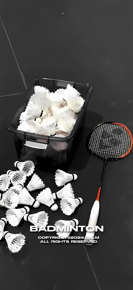 羽毛球手机壁纸｜羽毛球拍背景图片 - 运动器材「哲风壁纸」
