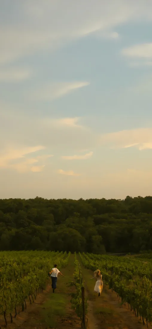 情侣田园奔跑手机壁纸｜晚霞背景图片 - 黄昏田野「哲风壁纸」