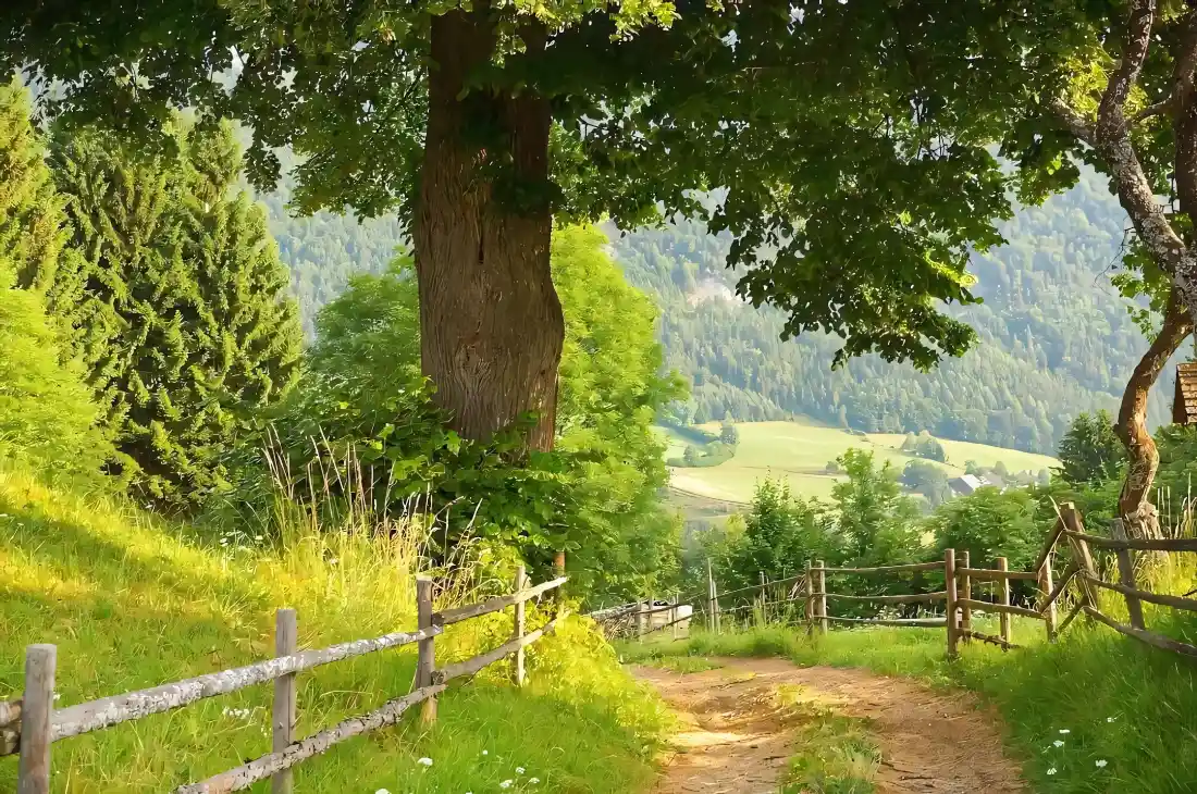 2k自然风景壁纸｜田园小道背景图片 - 绿色草地远山「哲风壁纸」