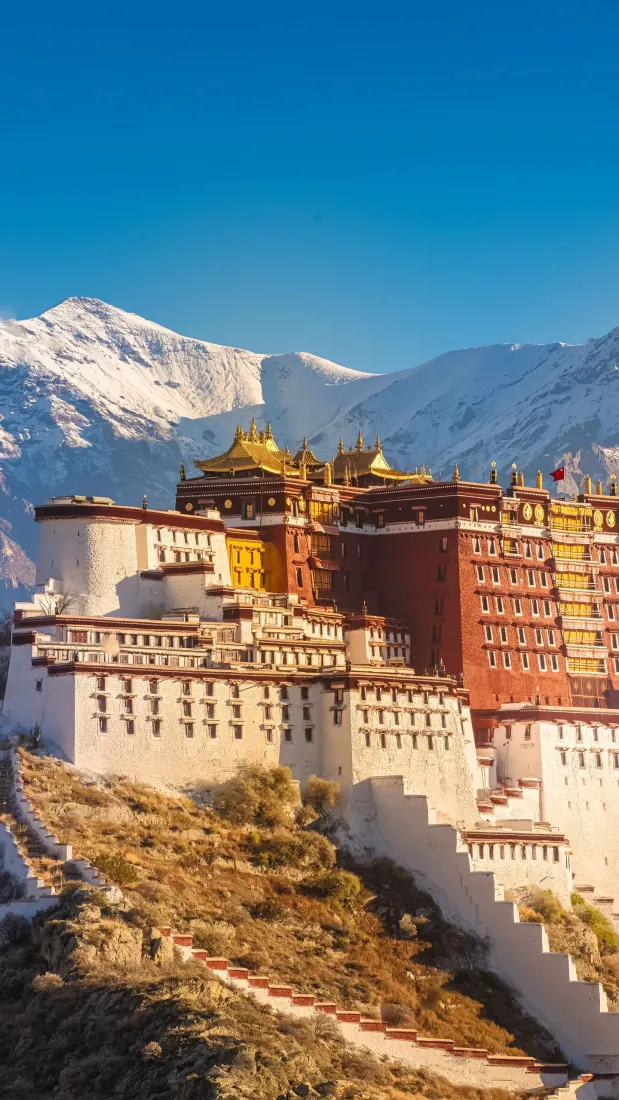 布达拉宫手机壁纸｜拉萨背景图片 - 雪山高原风景「哲风壁纸」