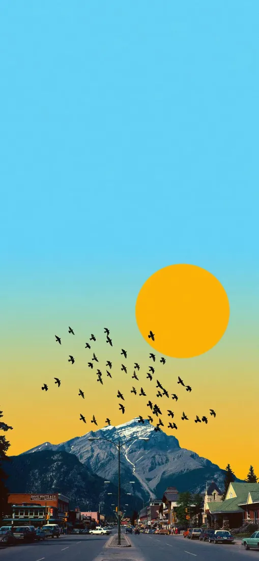 （自然风景手机壁纸｜街道背景图片 - 黄太阳鸟群山脉）「哲风壁纸」