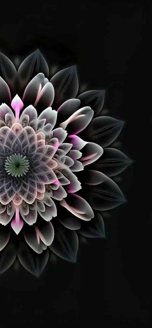 分形花手机壁纸｜黑色背景图片 - 艺术花型「哲风壁纸」
