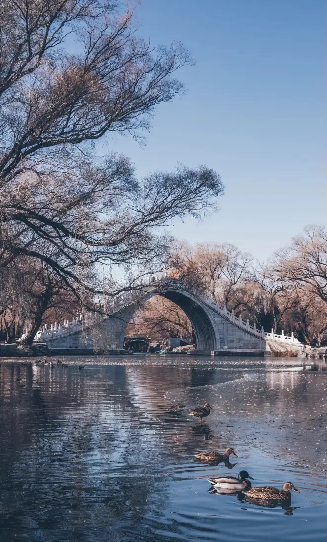 北京风景手机壁纸｜湖泊拱桥背景 - 鸭子戏水「哲风壁纸」