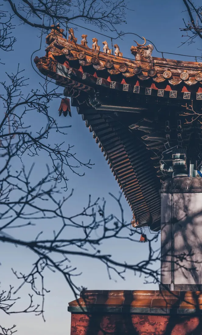北京古建筑手机壁纸｜中式屋檐背景图片 - 晴空树枝「哲风壁纸」