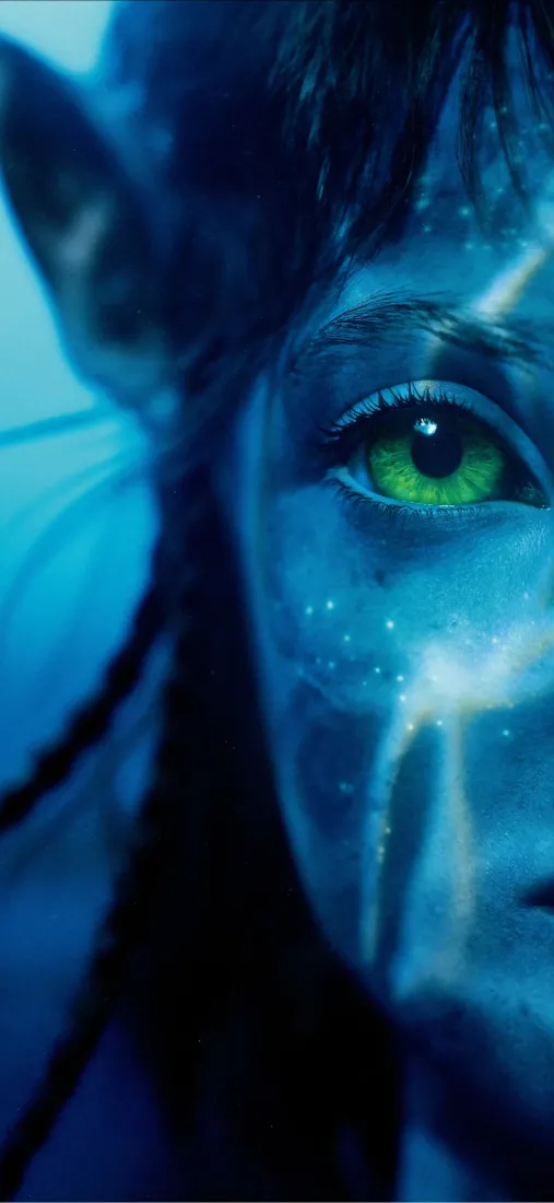 琪莉手机壁纸｜阿凡达背景图片 - 科幻「哲风壁纸」