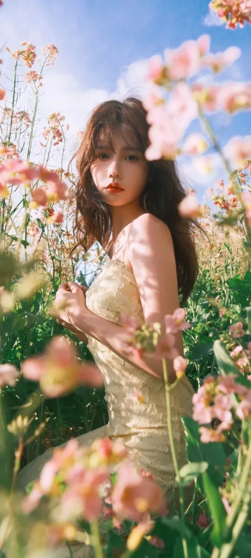 花丛美女手机壁纸｜草地蓝天背景图片 - 粉色花朵「哲风壁纸」