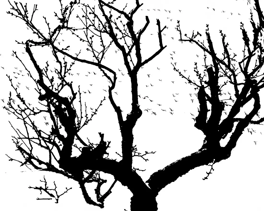 2k树干剪影壁纸｜黑白背景图片 - 简约自然「哲风壁纸」