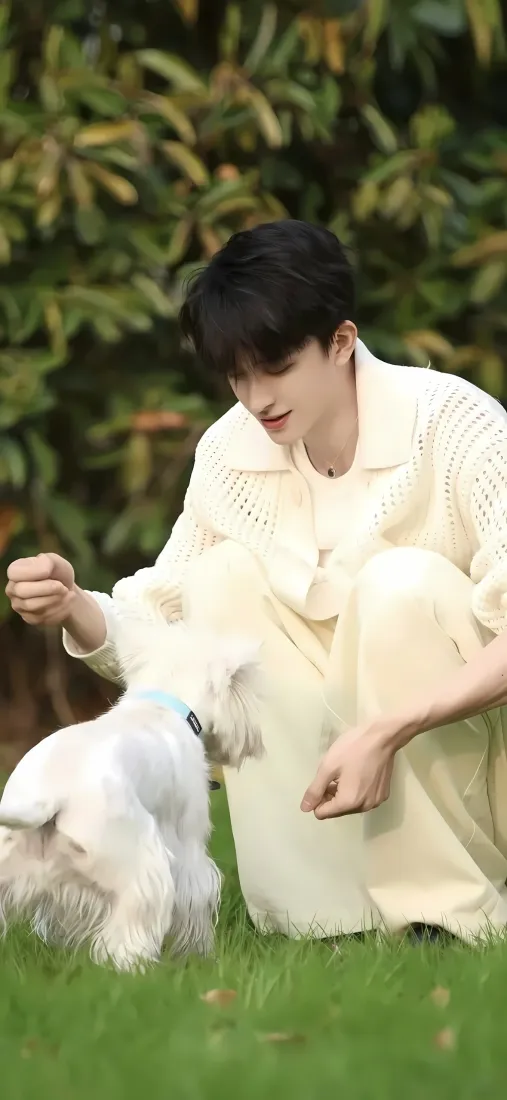 敖瑞鹏手机壁纸｜草地背景图片 - 西高地互动「哲风壁纸」