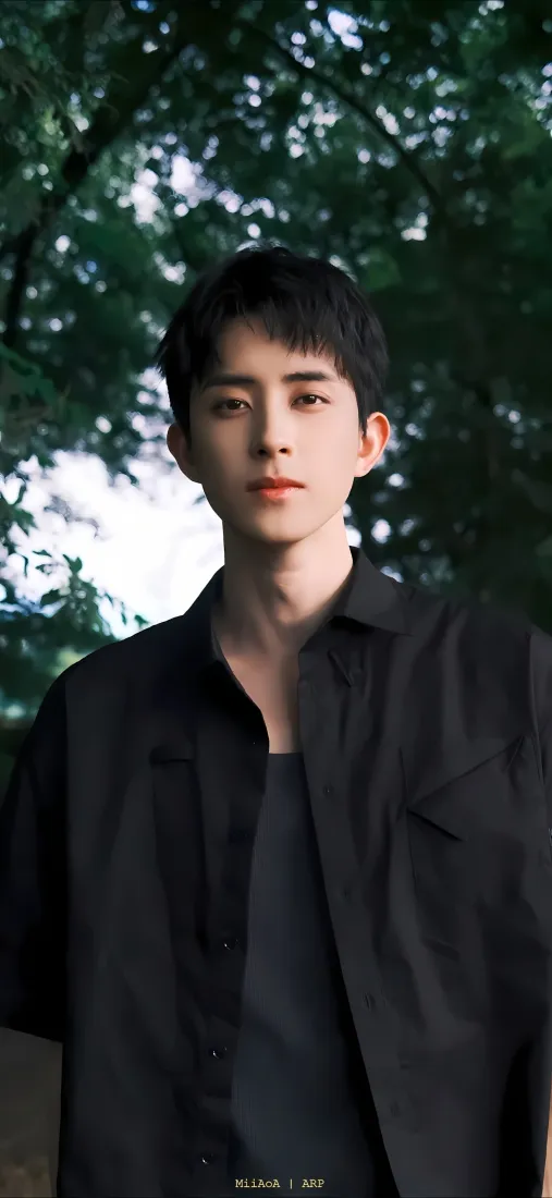 敖瑞鹏手机壁纸｜树林背景图片 - 寸头黑色衬衫「哲风壁纸」