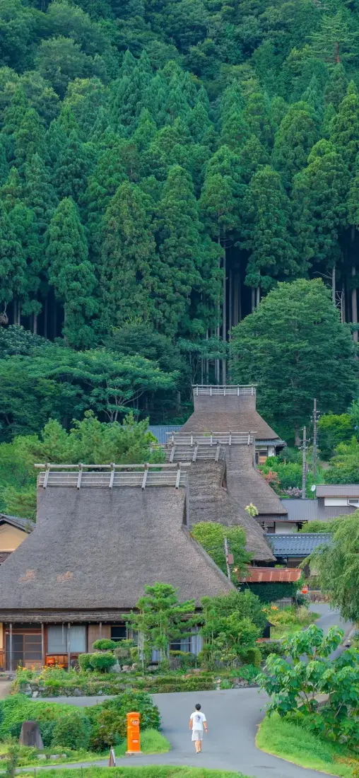 自然风景手机壁纸｜日式茅草屋背景图片 - 森林乡村小路「哲风壁纸」