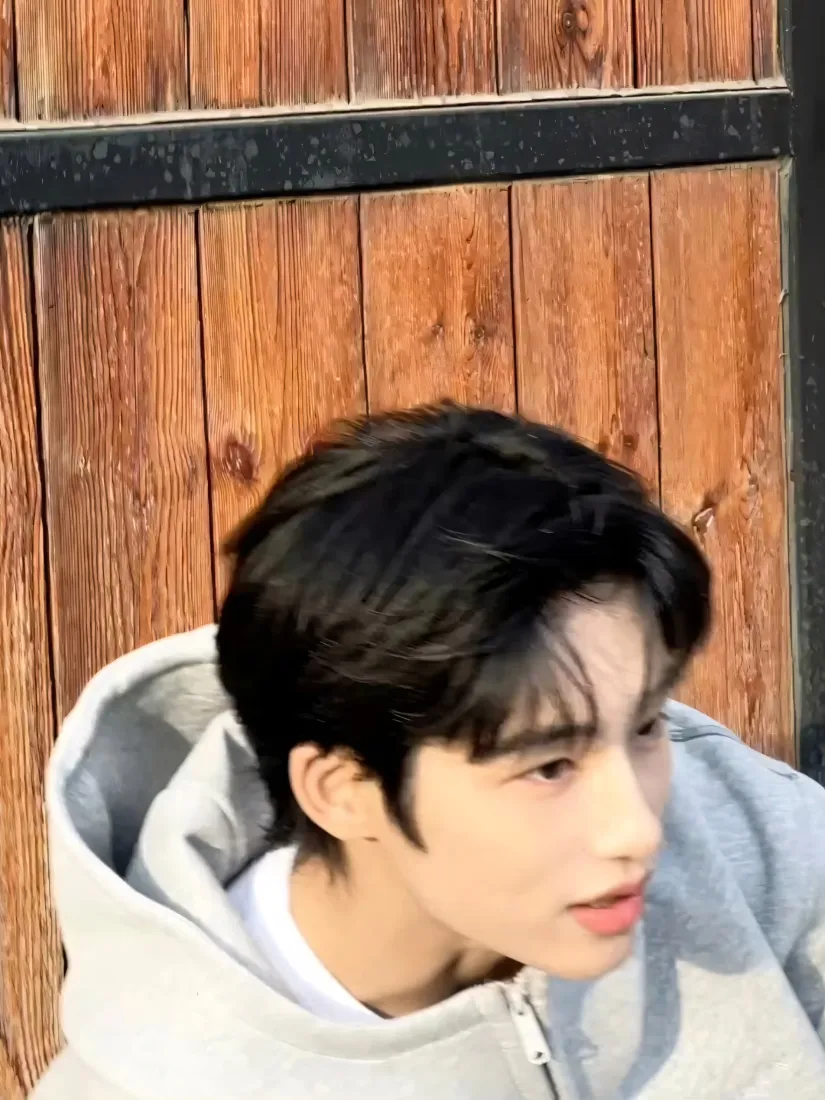 董思成手机壁纸｜木质背景 - 阳光休闲「哲风壁纸」