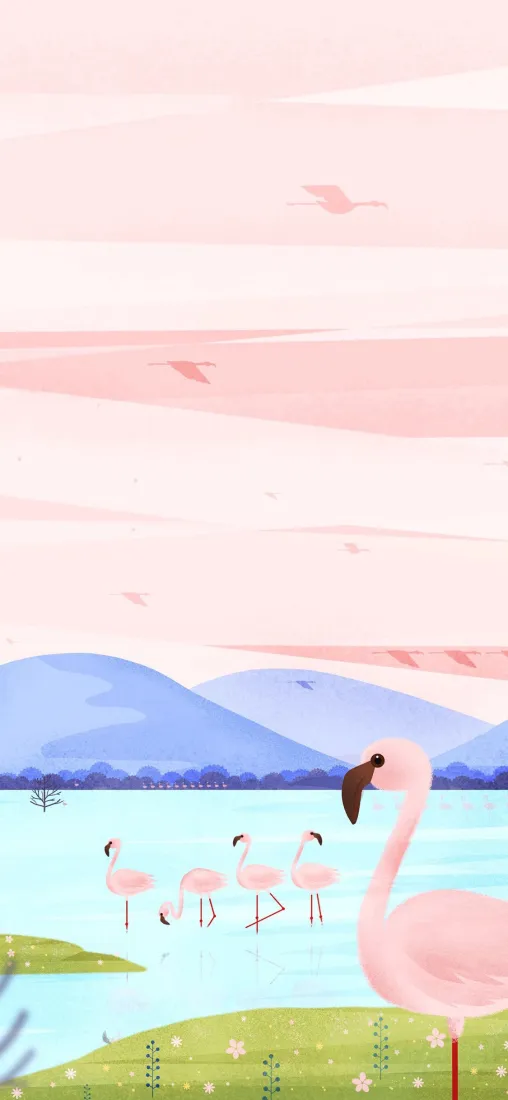 火烈鸟手机壁纸｜自然风景背景图片 - 粉色天空湖泊草地「哲风壁纸」