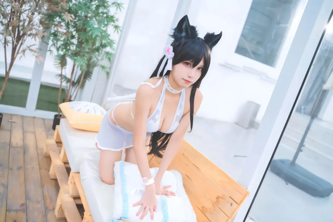 10k猫耳泳装美女壁纸｜室内背景图片 - 清凉性感「哲风壁纸」