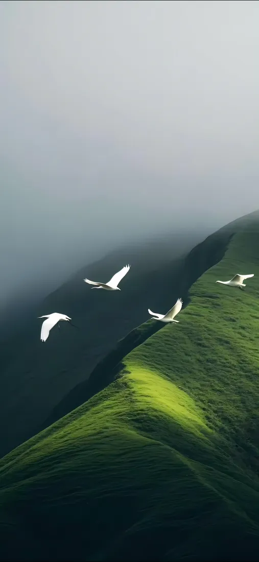 山川白鸽手机壁纸｜绿草地背景图片 - 自然风景「哲风壁纸」