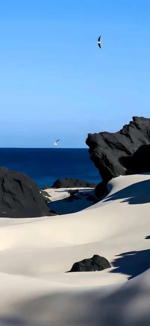 岩石沙滩海岸手机壁纸｜海洋背景图 - 海鸟蓝天「哲风壁纸」